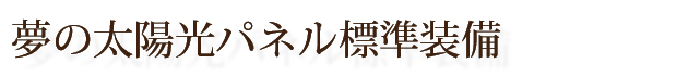 夢の太陽光パネル標準装備